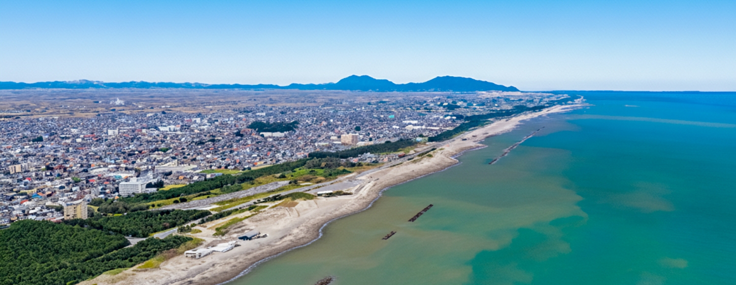 海岸線